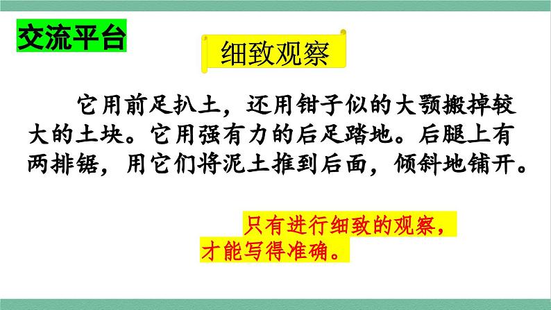 部编版小学语文四年级上册语文园地三课件+教案03