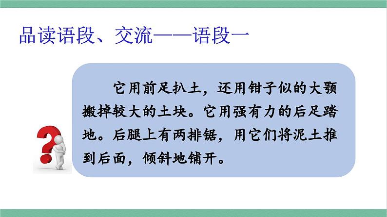 部编版小学语文四年级上册语文园地三课件+教案07