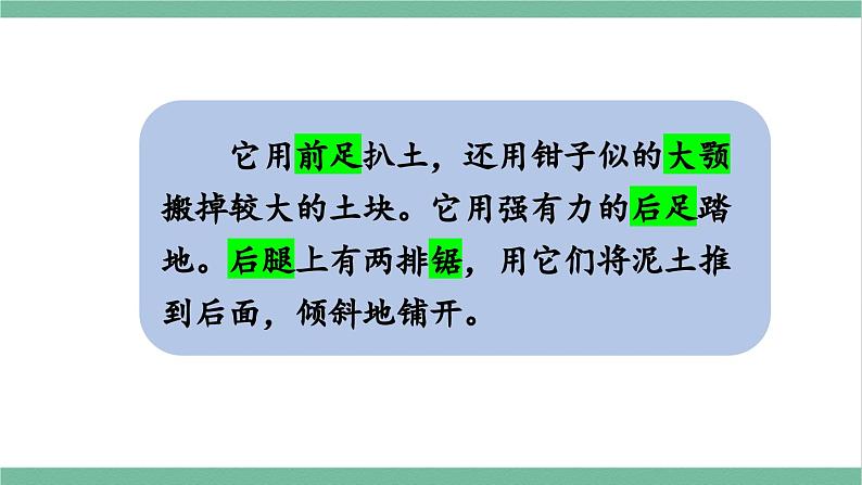 部编版小学语文四年级上册语文园地三课件+教案08