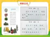 【新課標(biāo)-核心素養(yǎng)】部編版語文二上 識字3《拍手歌》課件+教案+音視頻素材+課文朗讀