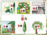 【新课标-核心素养】部编版语文二上 3《植物妈妈有办法》课件+教案+音视频素材+课文朗读