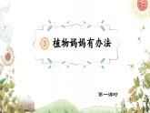 【新课标-核心素养】部编版语文二上 3《植物妈妈有办法》课件+教案+音视频素材+课文朗读