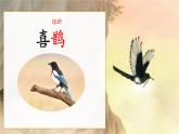 【新课标-核心素养】部编版语文二上 13《寒号鸟》课件+教案+音视频素材+课文朗读