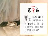 【新课标-核心素养】部编版语文二上 13《寒号鸟》课件+教案+音视频素材+课文朗读