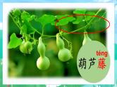 【新课标-核心素养】部编版语文二上 14《我要的是葫芦》课件+教案+音视频素材+课文朗读