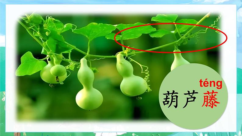 【新课标-核心素养】部编版语文二上 14《我要的是葫芦》课件+教案+音视频素材+课文朗读03