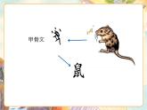 【新课标-核心素养】部编版语文二上 23《纸船和风筝》课件+教案+音视频素材+课文朗读