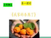部编版小学语文四年级上册五单元习作例文我家杏熟了和小木船课件+教案