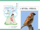 部编版小学语文四年级上册16麻雀课件+教案