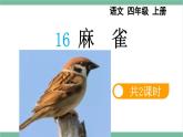 部编版小学语文四年级上册16麻雀课件+教案