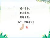 部编2024语文一年级上册 第1单元  3 口耳目手足 PPT课件
