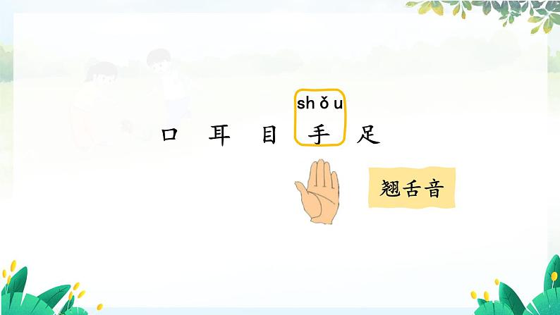 部编2024语文一年级上册 第1单元  3 口耳目手足 PPT课件06