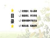 第3课 《植物妈妈有办法》 -2024-2025学年二年级语文上册同步精品课件（统编版）