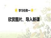 第3课 《植物妈妈有办法》 -2024-2025学年二年级语文上册同步精品课件（统编版）