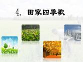 识字4 《田家四季歌》 -2024-2025学年二年级语文上册同步精品课件（统编版）