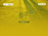 【新课标】统编版（2024秋）小学语文一年级上册《影子》——第2课时PPT课件（内嵌音频和视频）+教案+字体