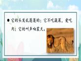 【情景教学】部编版小学语文4上 第二单元习作《小小“动物园”》课件+教案（含教学反思）