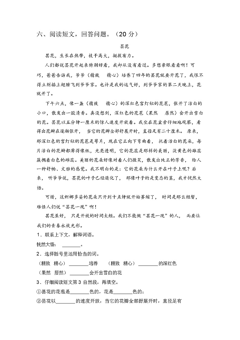 2023年秋人教版六年级语文上册期中试卷及答案第3页