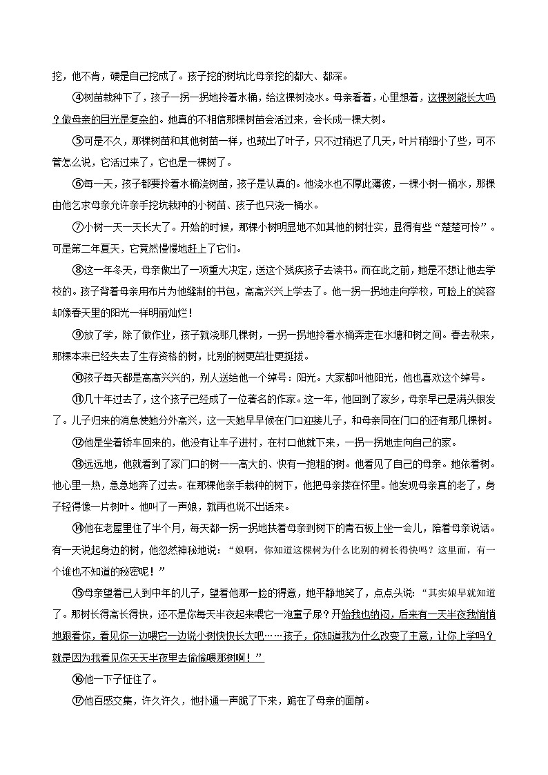 甘肃省陇南市武都区2022-2023学年五年级下学期期末语文试卷03