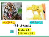 部编版小学语文四年级上册19一只窝囊的大老虎课件+教案