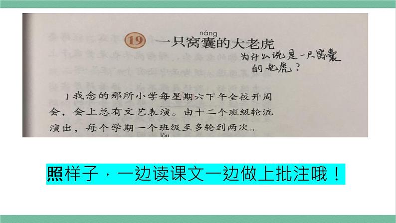 部编版小学语文四年级上册19一只窝囊的大老虎课件+教案08