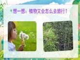 统编版语文2上 3《植物妈妈有办法》课件+教案+音视频素材+动态笔画