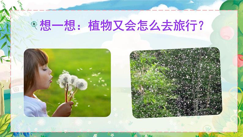 统编版语文2上 3《植物妈妈有办法》课件+教案+音视频素材+动态笔画02