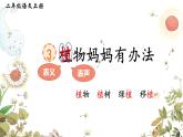 统编版语文2上 3《植物妈妈有办法》课件+教案+音视频素材+动态笔画
