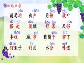 统编版语文2上 11《葡萄沟》课件+教案+音视频素材+动态笔画
