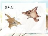 统编版语文2上 13《寒号鸟》课件+教案+音视频素材+动态笔画