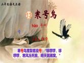 统编版语文2上 13《寒号鸟》课件+教案+音视频素材+动态笔画