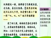 【任务群】部编版语文四上 《习作二：我的家人》课件+教案+音视频素材