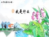 統(tǒng)編版語(yǔ)文2上 2《我是什么》課件+教案+音視頻素材+動(dòng)態(tài)筆畫(huà)