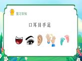 統(tǒng)編版（2024）一年級語文上冊3 口耳目手足第二課時精品課件