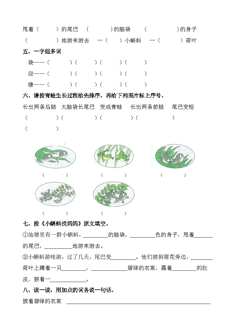 1 《小蝌蚪找妈妈》同步检测2024-2025学年语文二年级上册统编版02