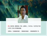 部編版小學語文6上 第六單元20.青山不老 課件+教案