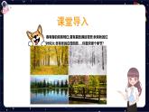 部编版小学语文六年级上册阅读提升之借物抒情与情景交融课件