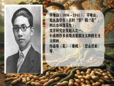 部编版语文五年级上册第二课 落花生第一课时课件
