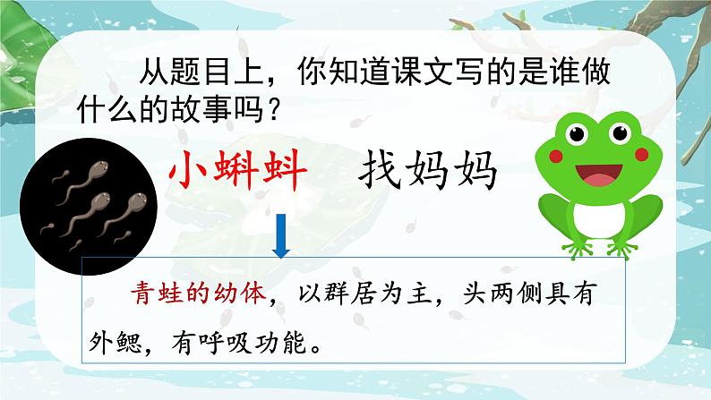 统编版语文2上 1《小蝌蚪找妈妈》课件+教案+音视频素材+动态笔画03