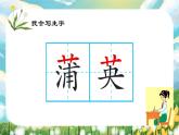 【任務(wù)型教學(xué)】統(tǒng)編版語文三上 16《金色的草地》課件+教案+音視頻素材