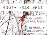 【任务型教学】统编版语文三上 25《灰雀》课件+教案+音视频素材