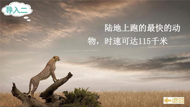 2024-2025部编版语文五年级上册7什么比猎豹的速度更快（课件）01