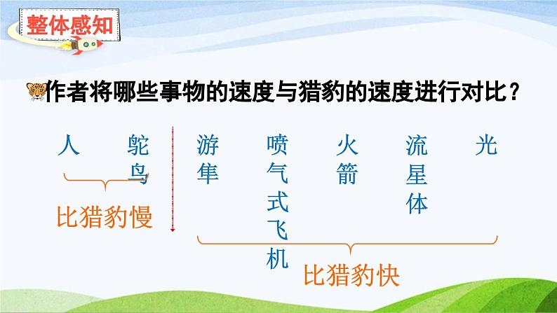 2024-2025部编版语文五年级上册7什么比猎豹的速度更快（课件）08