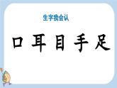 統(tǒng)編版（2024）新教材一上語文識字3 口耳目手足課件