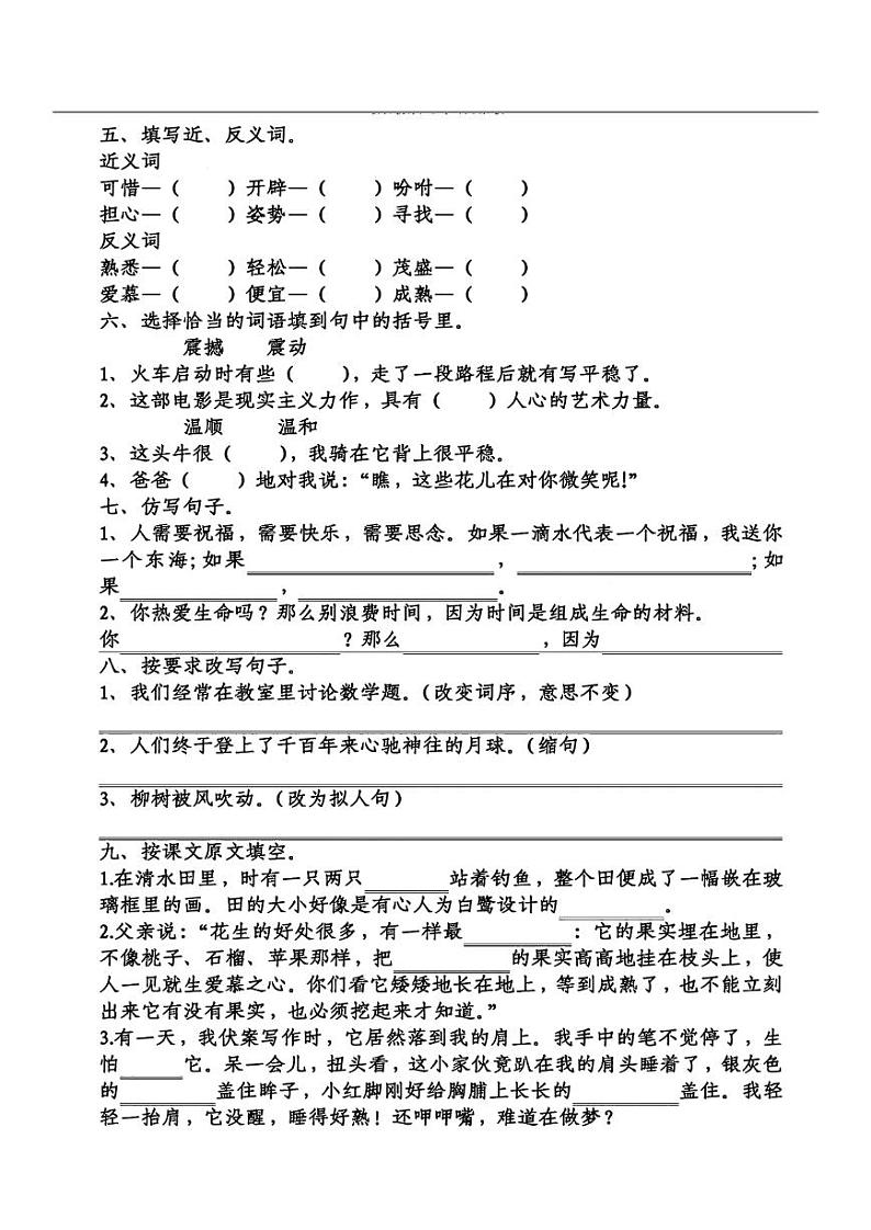 人教版语文五年级上册第1-4单元《期中复习》同步卷02