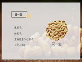 部编版五年级语文上册第2课《落花生》优质课件