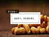 部编版五年级语文上册第2课《落花生》优质课件
