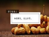 部编版五年级语文上册第2课《落花生》优质课件