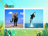部编版五年级语文上册《习作例文》优质课件
