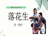 《落花生》课件